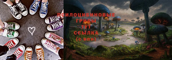 2c-b Зеленодольск