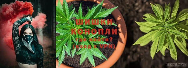 2c-b Зеленодольск