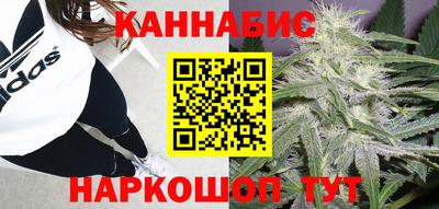 МДПВ Краснознаменск