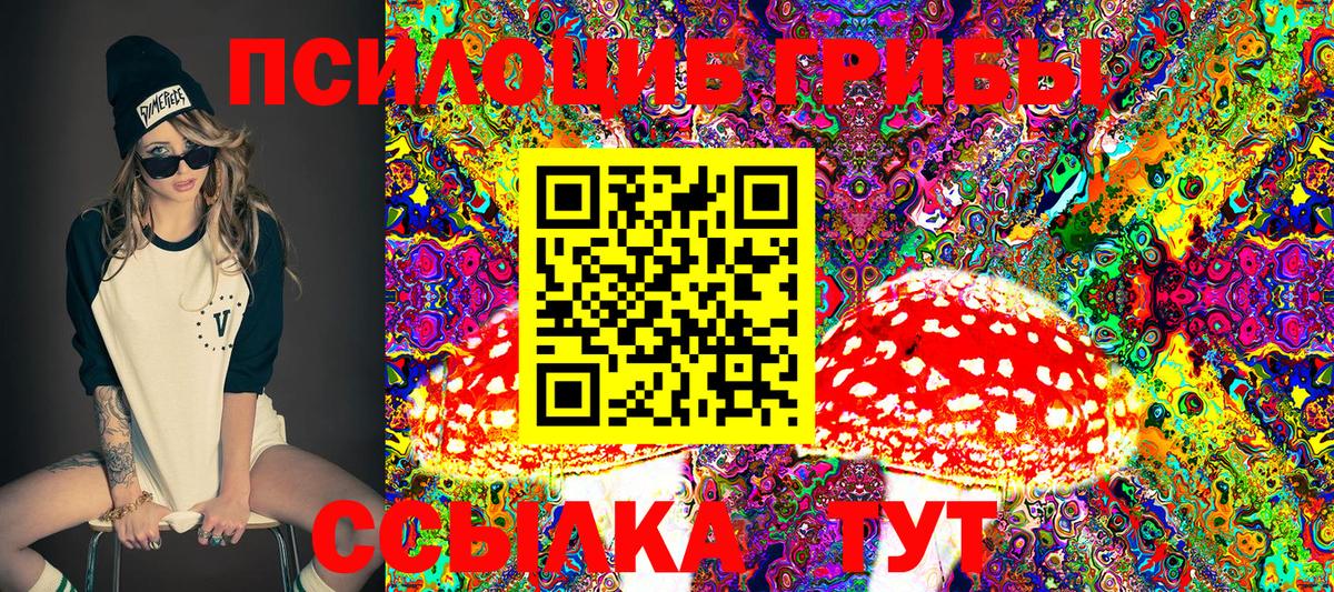 Кашира  Галлюциногенные грибы GOLDEN TEACHER  Вход с VPN 